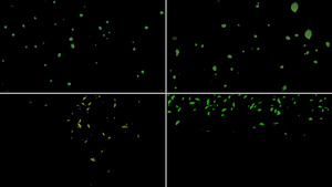一组绿叶粒子漂浮动画12秒视频