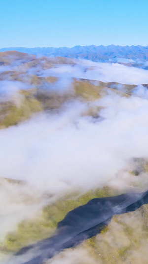 航拍青藏高原清晨云雾缭绕自然风光清晨高原26秒视频