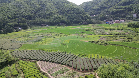 自然乡村群山梯田航拍4k视频