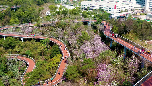 进入凤凰山栈道视频