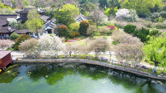 4k航拍春季南京莫愁湖公园风景视频