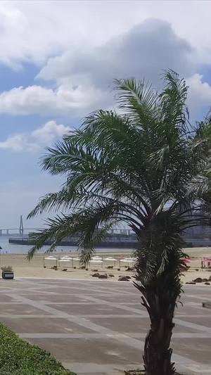 湛江沙滩航拍海边度假60秒视频
