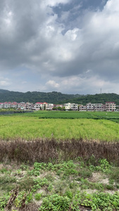 田园风景4K实拍视频视频