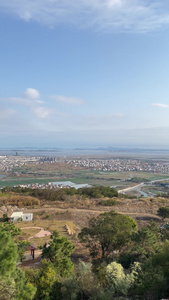 高山草甸风景4K实拍视频视频