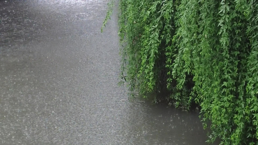 下雨素材实拍视频