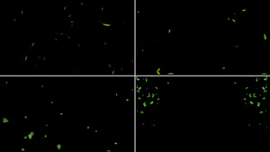 一组绿叶粒子漂浮动画12秒视频