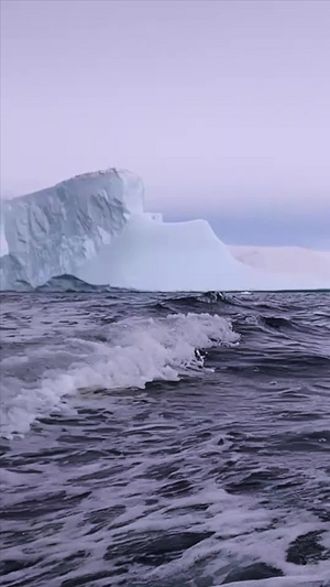南极大陆实拍视频南极旅行5秒视频
