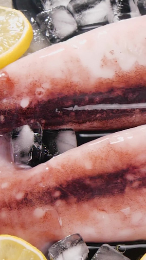 生鲜鱿鱼块海产品40秒视频