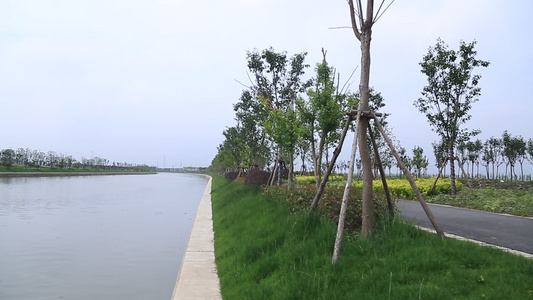 上海市小昆山镇乡镇绿化水道视频