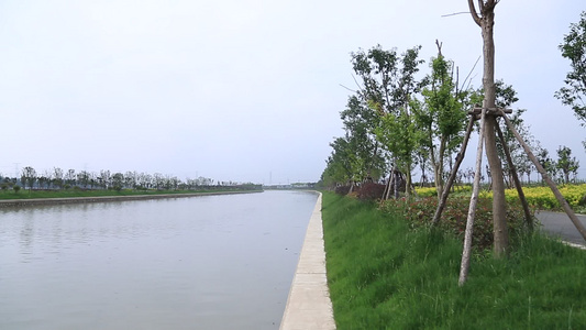 上海市小昆山镇乡镇绿化水道视频
