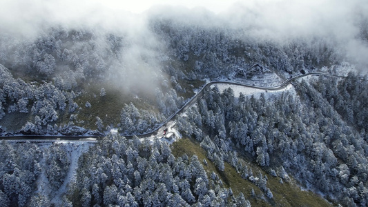 4K震撼冬季公路森林雪景航拍视频视频
