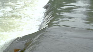 河川水坝流过的水流15秒视频