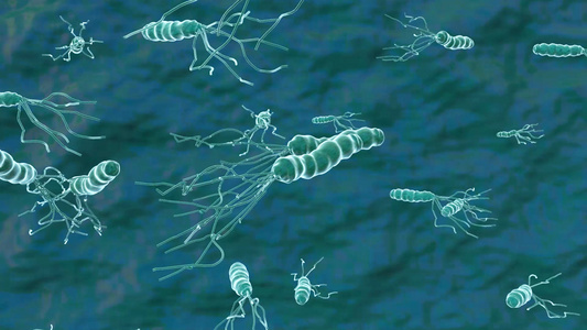 细菌病毒动画视频