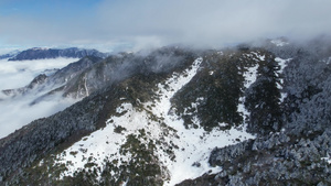 4K冬季山顶下雪洁白雪花云海航拍视频15秒视频