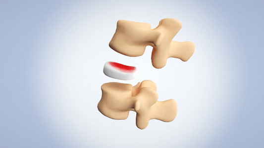 人体腰间盘骨骼动画视频视频