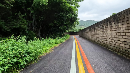 骑行在竹林小道视频