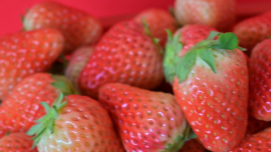 4K草莓水果草莓种植成熟饮料果园采摘草莓视频