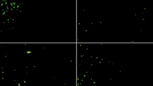 一组绿叶粒子漂浮动画12秒视频