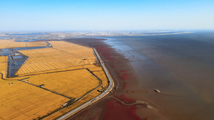 4K水稻麦田红海滩交界国家风景廊道5A36秒视频