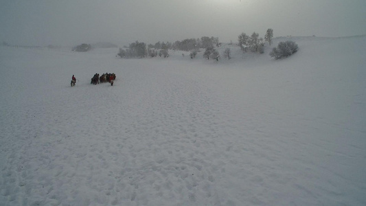 冬季坝上草原雪景视频