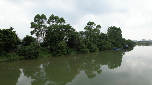 河岸湿地航拍视频