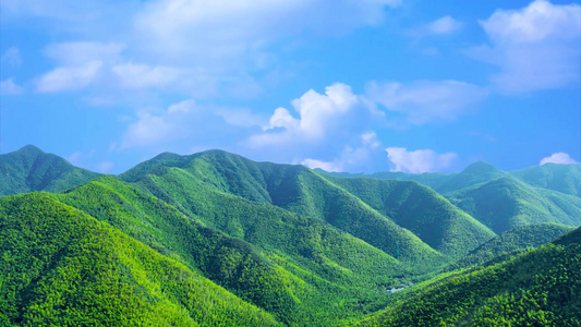 绿色唯美5A风景区天目湖南山竹海背景视频视频