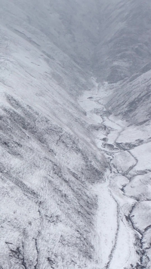 航拍被雪覆盖的山梁大山视频素材灾害性天气14秒视频