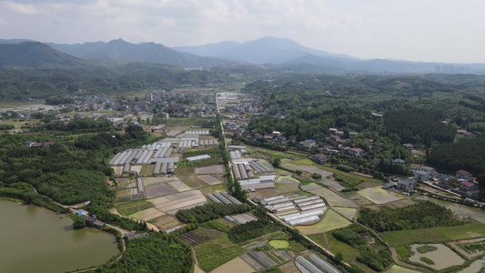 乡村农田农业种植基地航拍视频视频