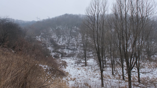 冬天秦岭山深处岭南公园的雪景视频