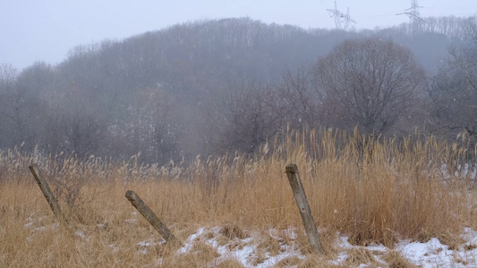 冬天秦岭山深处岭南公园的雪景视频