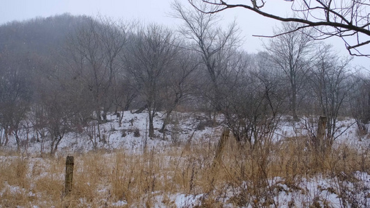 冬天秦岭山深处岭南公园的雪景视频