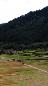 航拍麦田与山村村庄自驾旅游视频