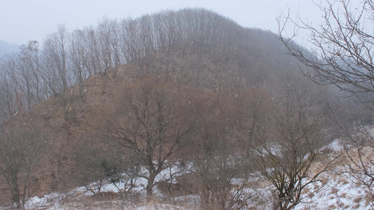 冬天秦岭山深处岭南公园的雪景视频