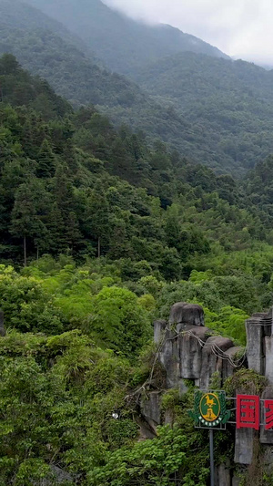 航拍贵州省铜仁市亚木沟风景区自然风光4A景区33秒视频