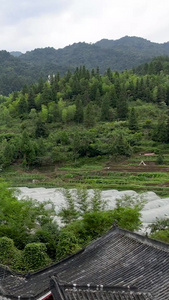 航拍贵州省铜仁市亚木沟风景区自然风光原始峡谷视频