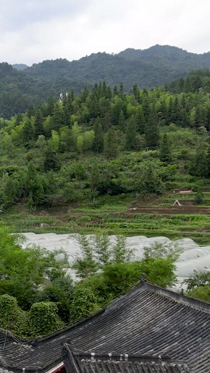 航拍贵州省铜仁市亚木沟风景区自然风光原始峡谷33秒视频