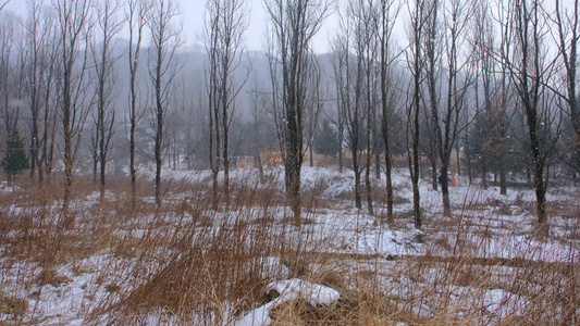 冬天秦岭山深处岭南公园的雪景视频