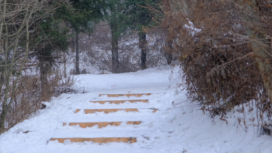 冬天秦岭山深处岭南公园的雪景视频