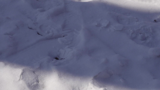 雪地雪花下雪积雪视频