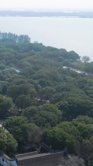 上海大观园自然风光80秒视频