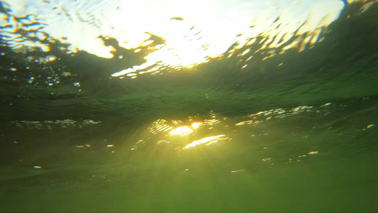 水下视频水下阳光闪烁水草摇曳视频