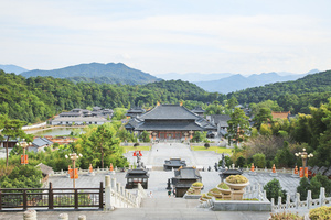 5A景区五大佛山溪口弥勒佛道场雪窦寺88秒视频