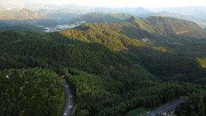 航拍5A安徽天柱山景区万亩竹林全景视频42秒视频