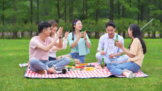 4k大学生在公园开心的野炊视频