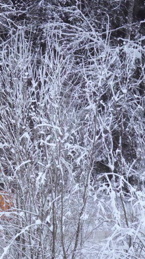 寒冬雨雪天气卡车穿梭在茫茫大雪的山崖上交通运输11秒视频