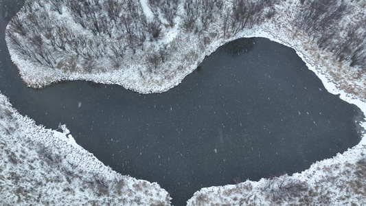 大兴安岭春天冰雪湖水候鸟视频