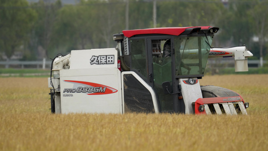 乡村水稻小麦农作物机械化收割视频