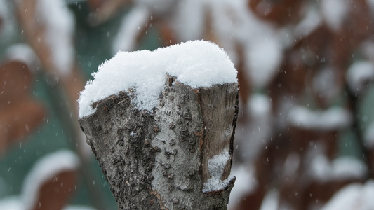 冬天冬季下雪飘雪白雪皑皑视频