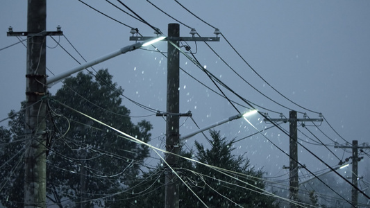 冬天冬季下雪飘雪白雪皑皑视频