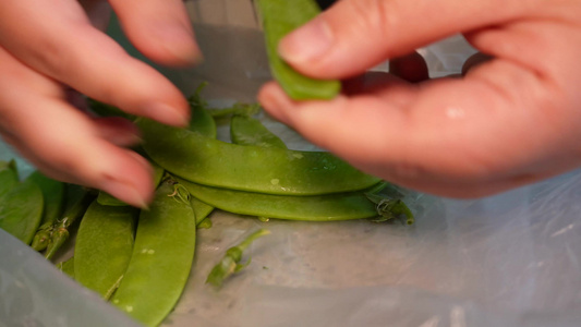 处理清洗荷兰豆蔬菜维生素视频